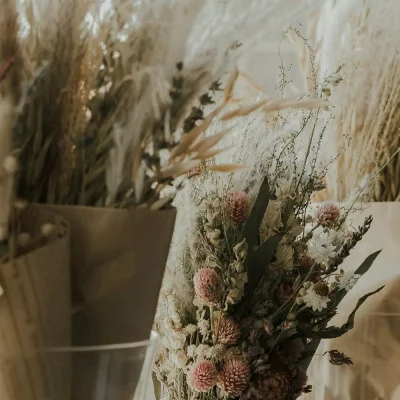 andres-molina-5wqdu4rvlla-unsplash-hero2